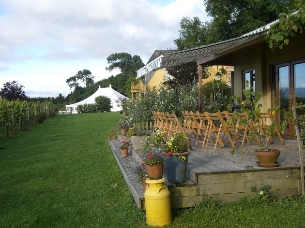 A garden with chairs and a white marquee