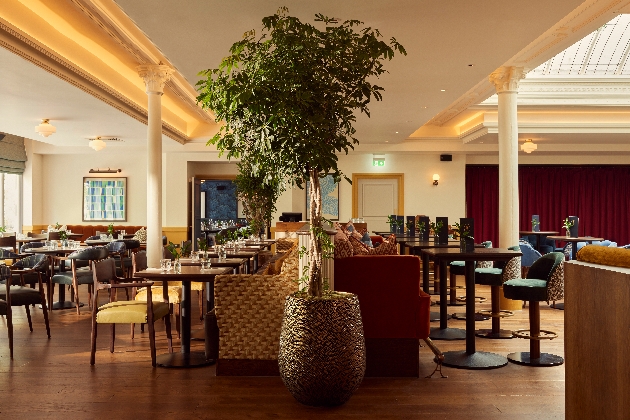 A large dining room/bar with a large tree in the centre of the room