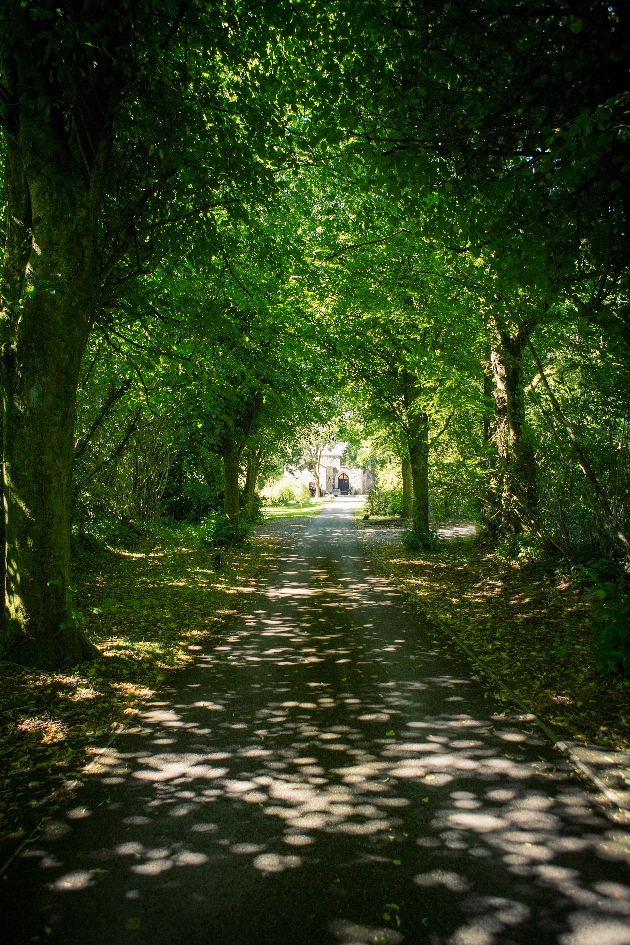 A long driveway covered by trees with a building at the end